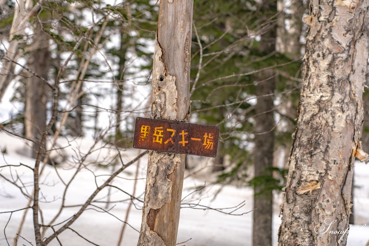 大雪山層雲峡・黒岳ロープウェイスキー場　本日の積雪 310cm。神々の遊ぶ庭でのんびり春スキー＆スノーボードを楽しみましょう♪